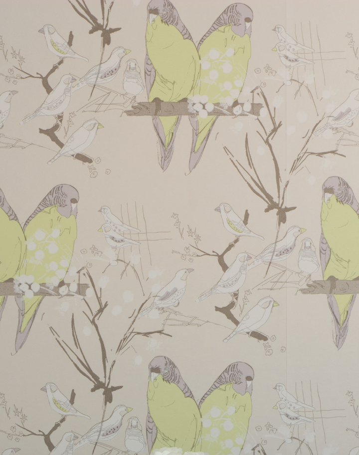 Budgie, Mauve & Lime on Pearl Paper