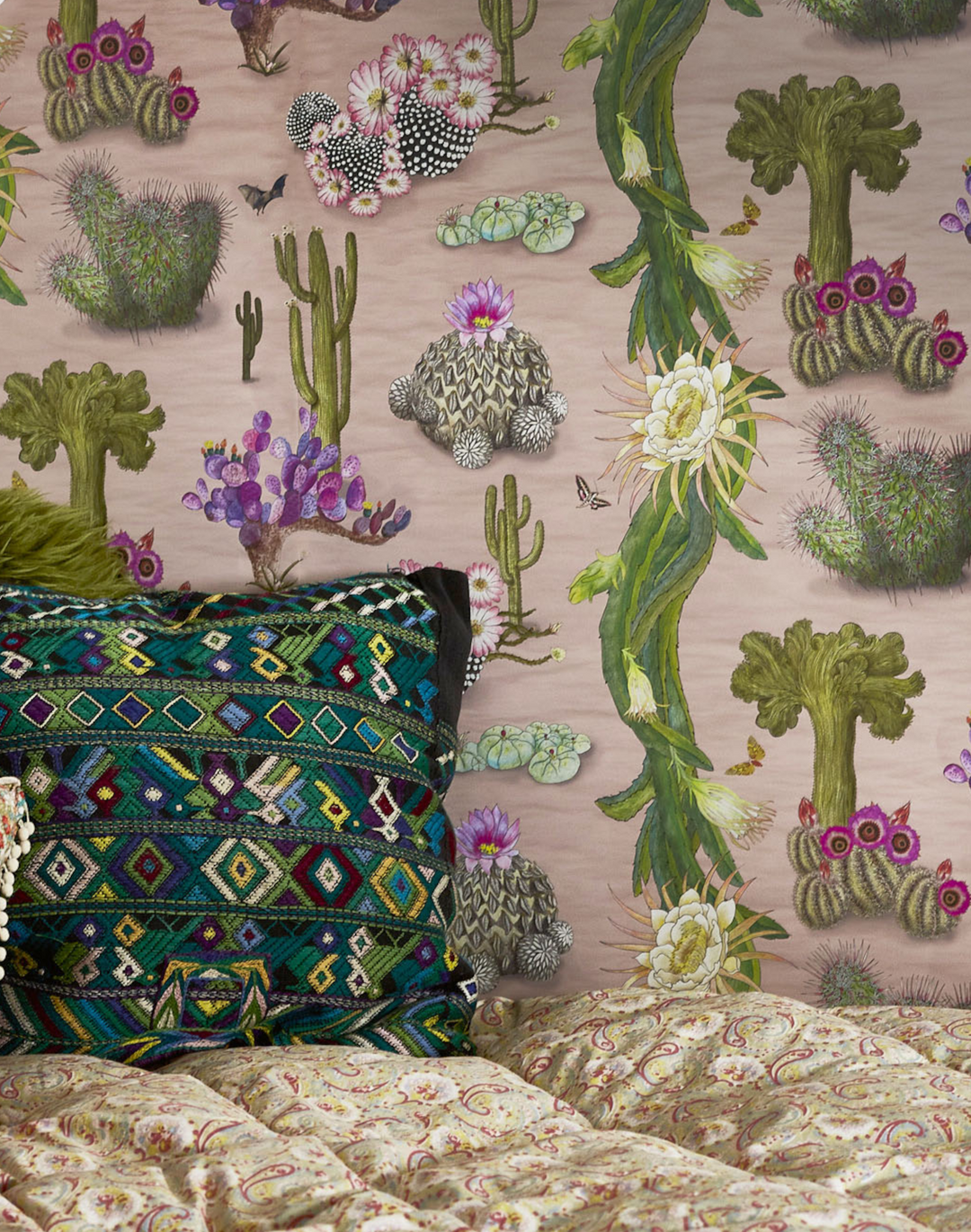 Cactus Mexicanos, Blush