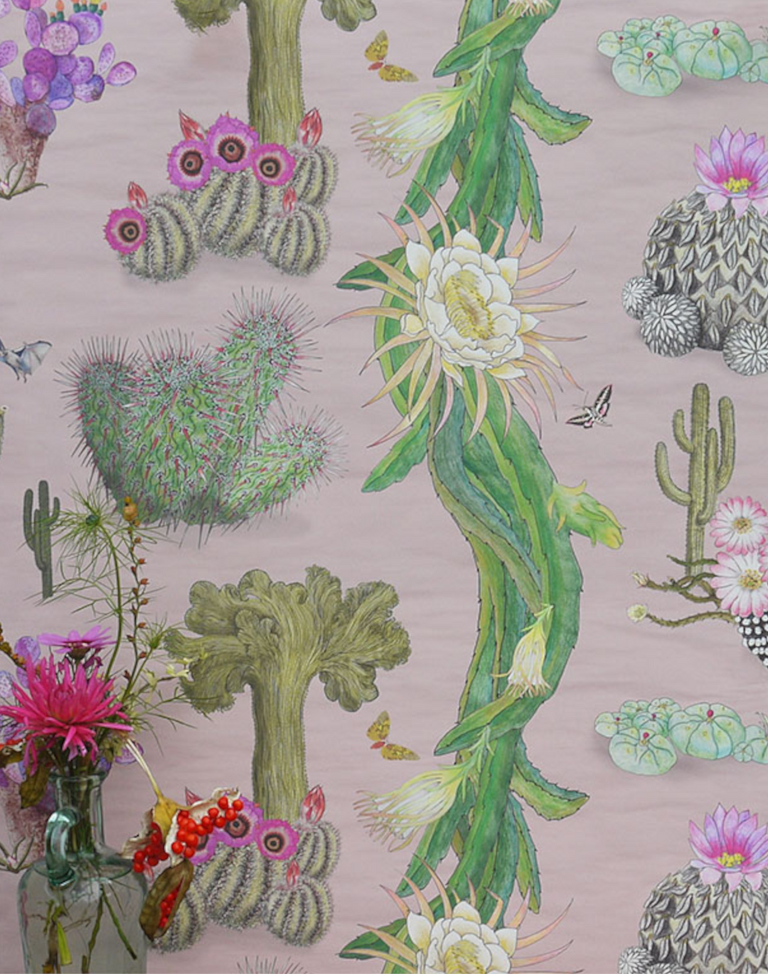 Cactus Mexicanos, Blush