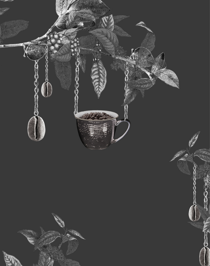 Coffee Tree, Charcoal