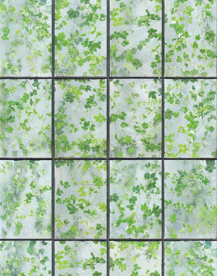 ERG-01 Greenhouse Wallpaper by Erik Gutter