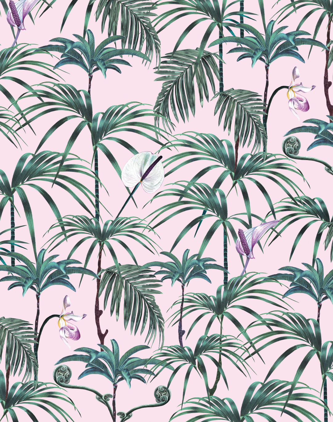 Elysian Palms, Pink
