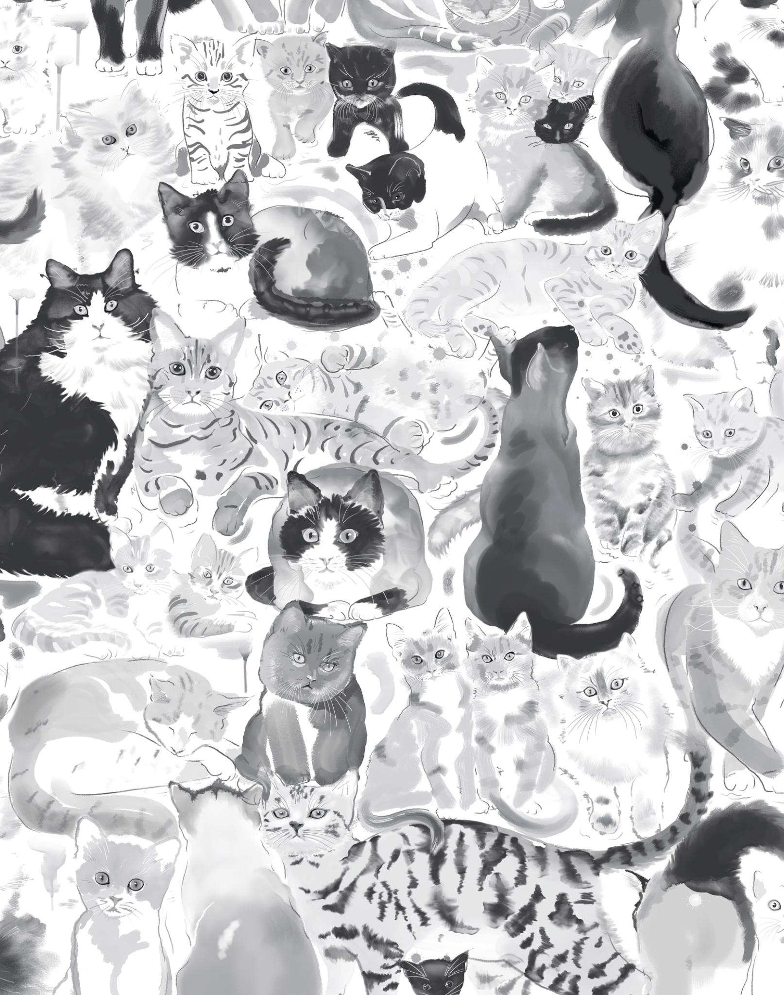 Peel & Stick Wallpaper 9ft x 2ft - Diamond Cats India | Ubuy