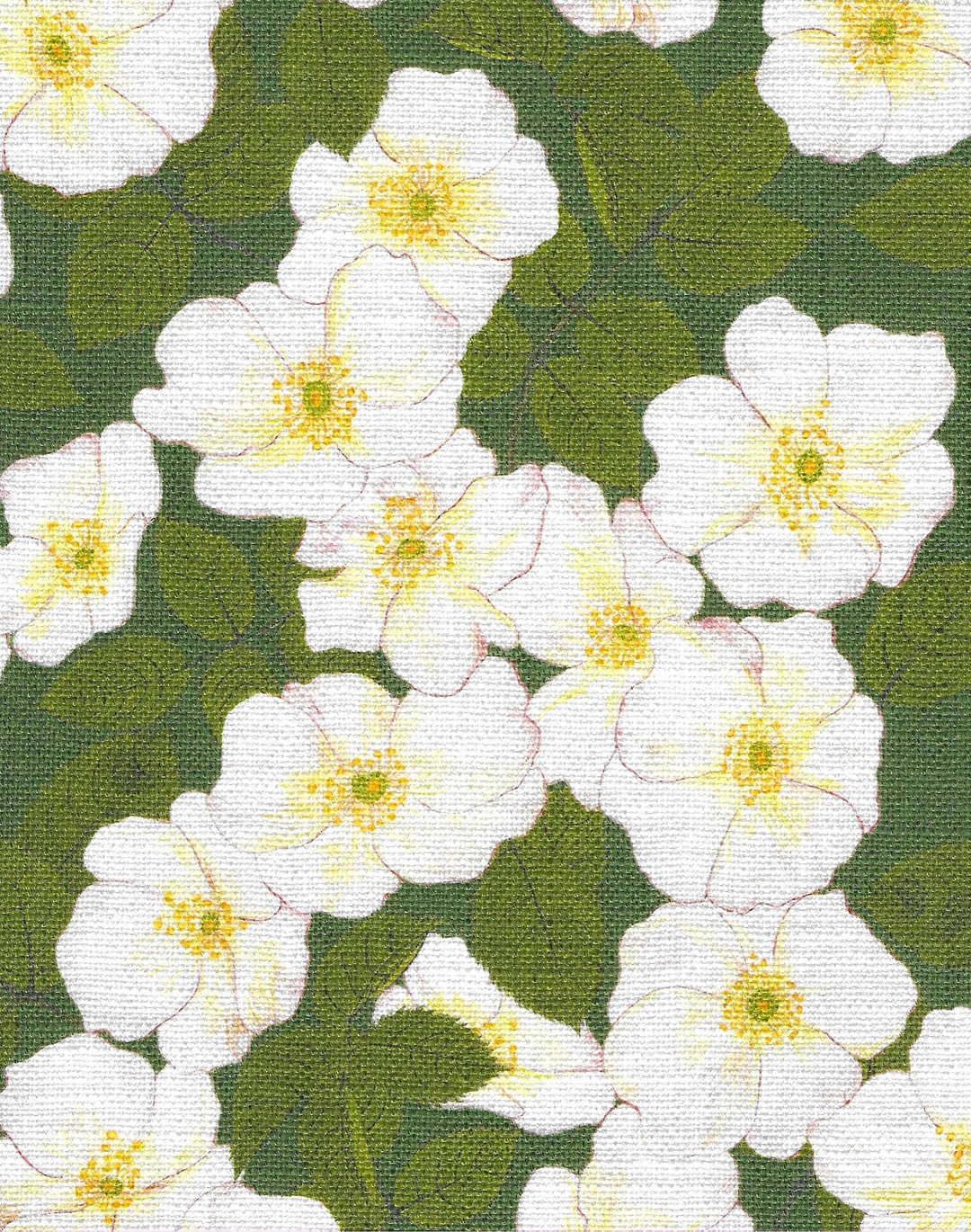 Field Rosa Fabric, Fennel Green