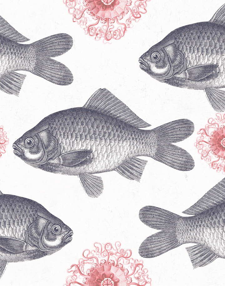 Fish, Natural – The Pattern Collective