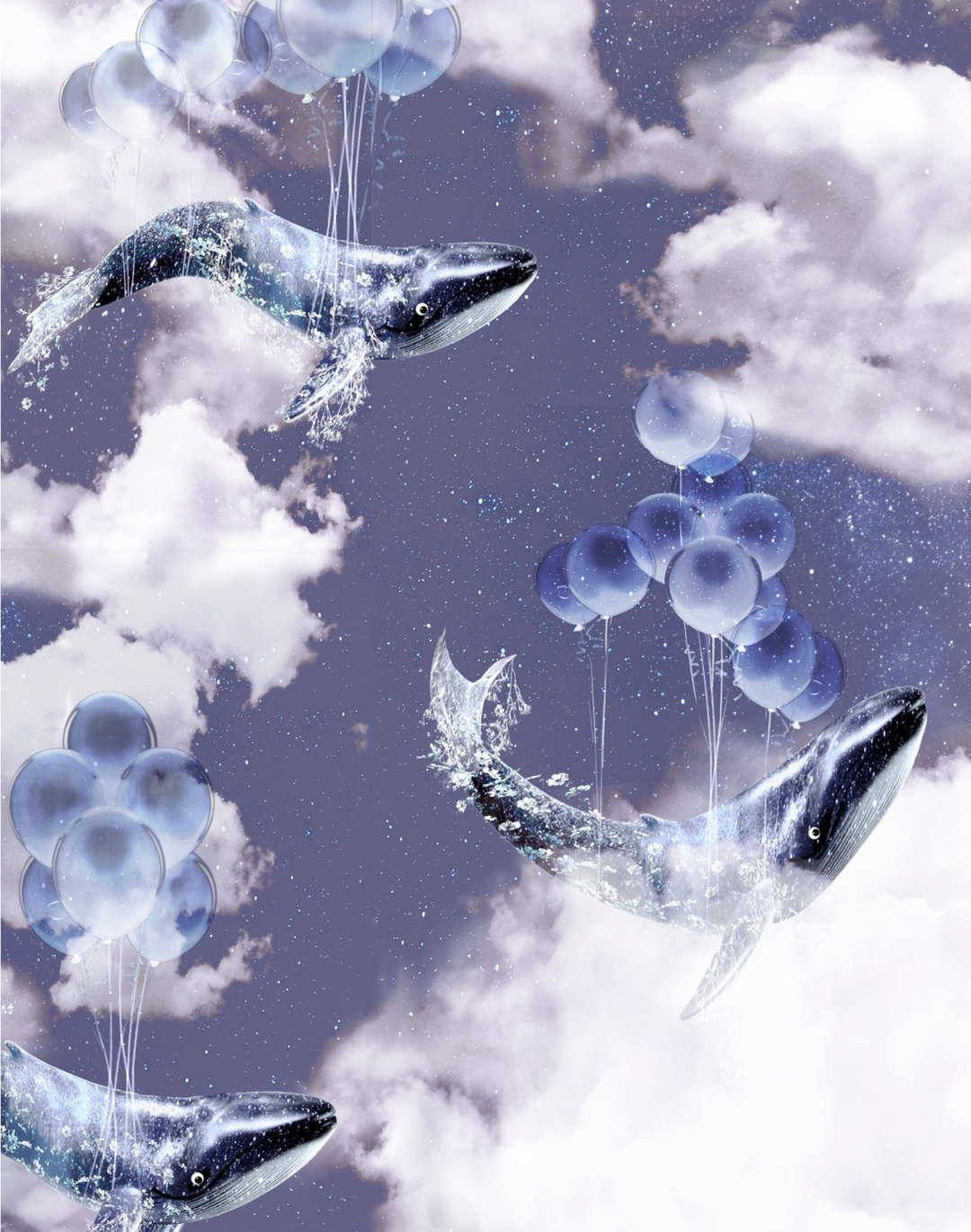 Flying Whales, Midnight