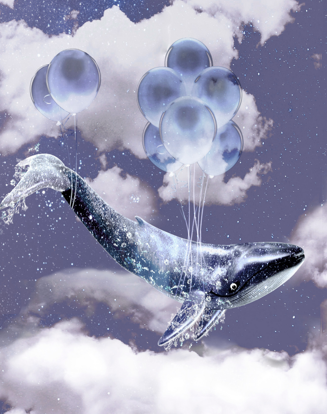 Flying Whales, Midnight