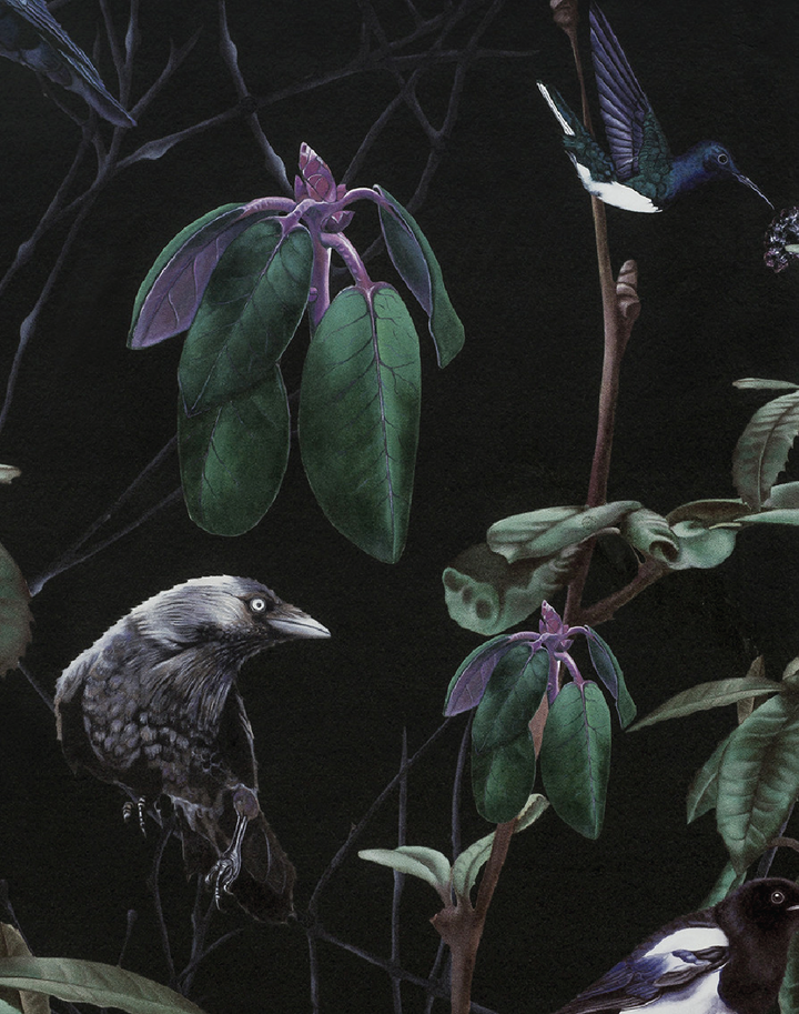Folia Birds Dark Wallpaper