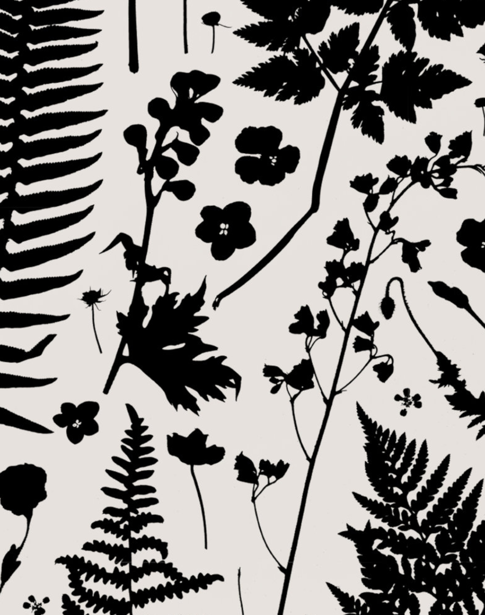 Forage, Black on Parchment – The Pattern Collective