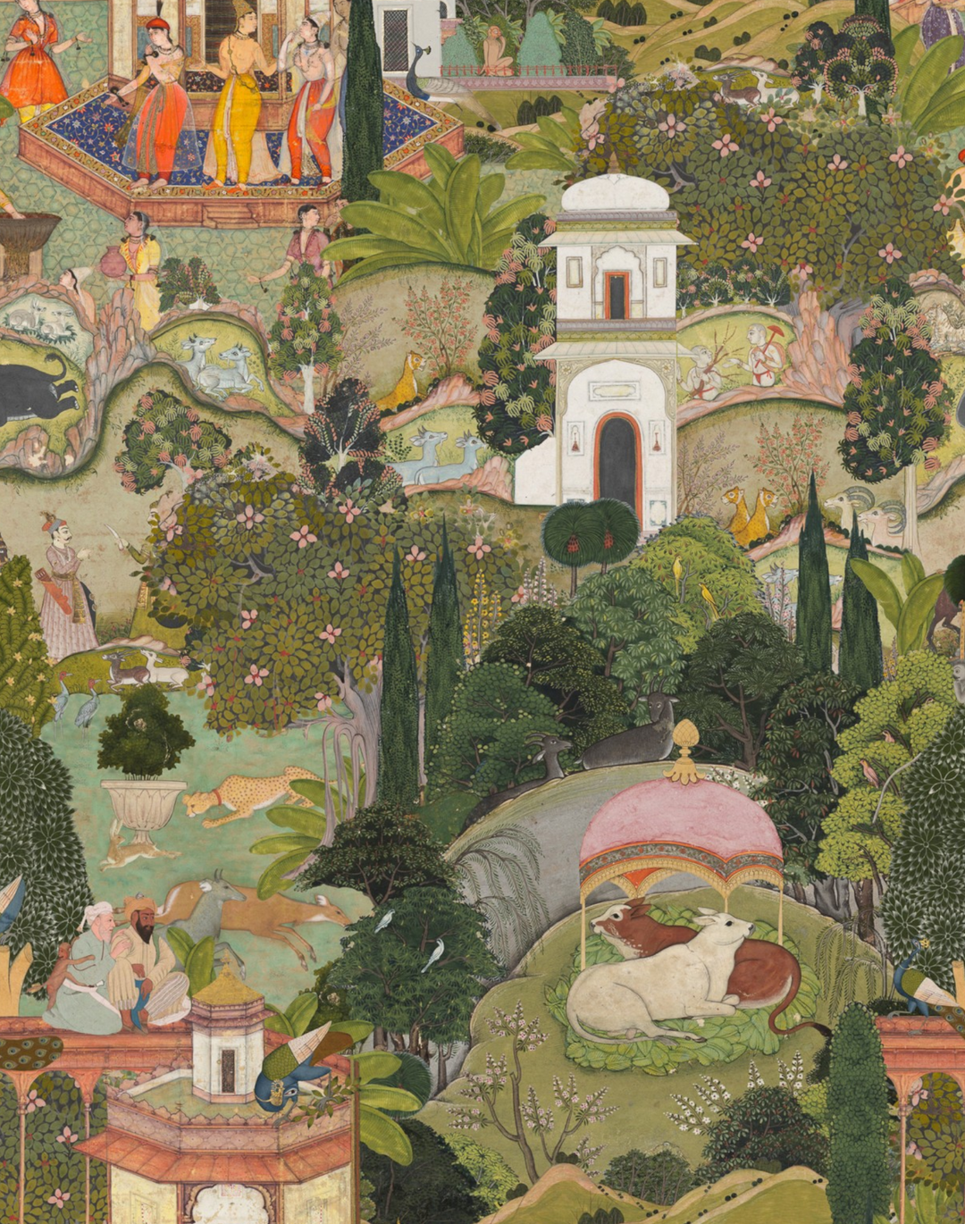 Gardens of Jaipur Wallpaper: Transform Your Space