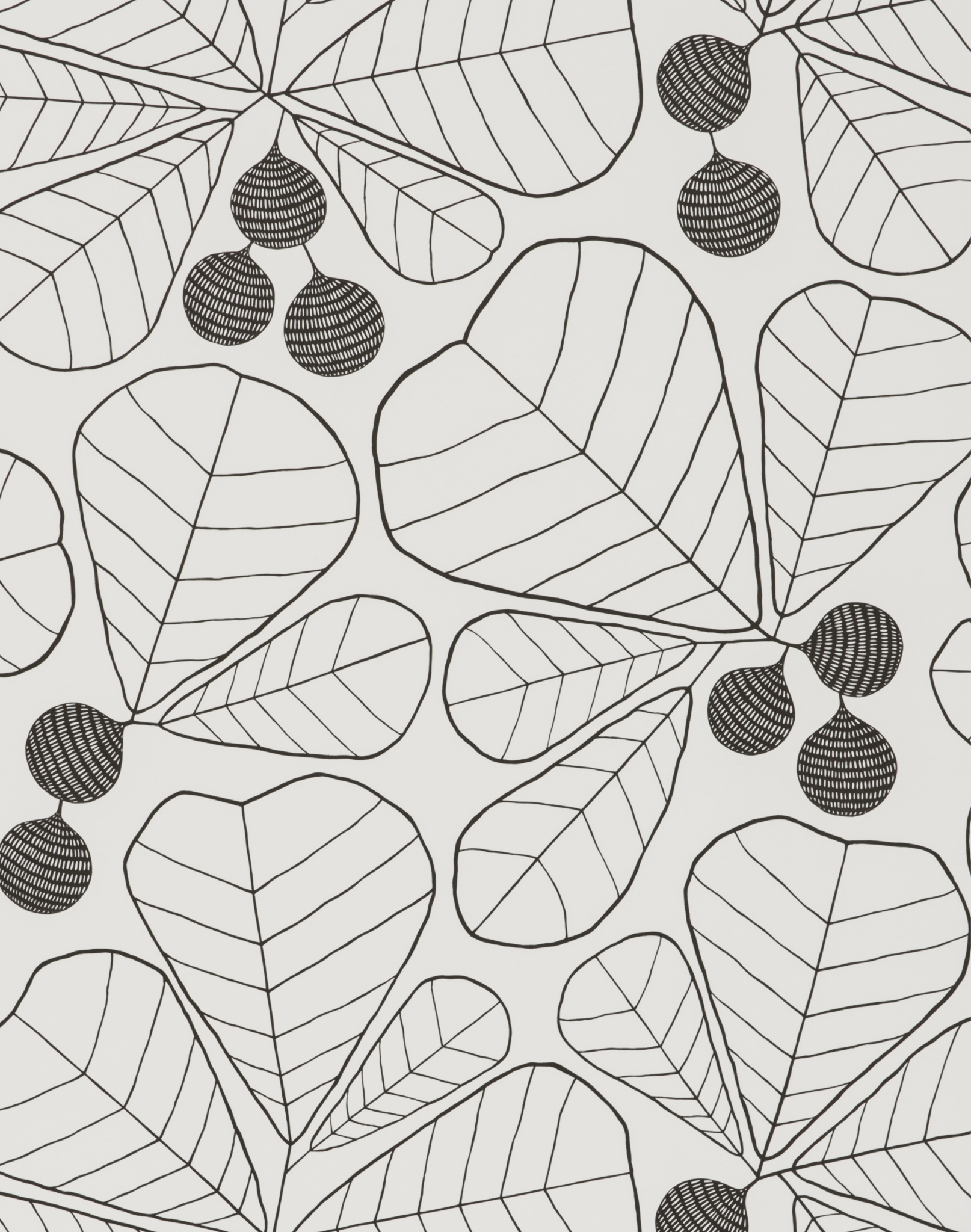 design template plant line art. Minimalistic line drawing. leaf line art.  Botanical drawing illustration by hand
