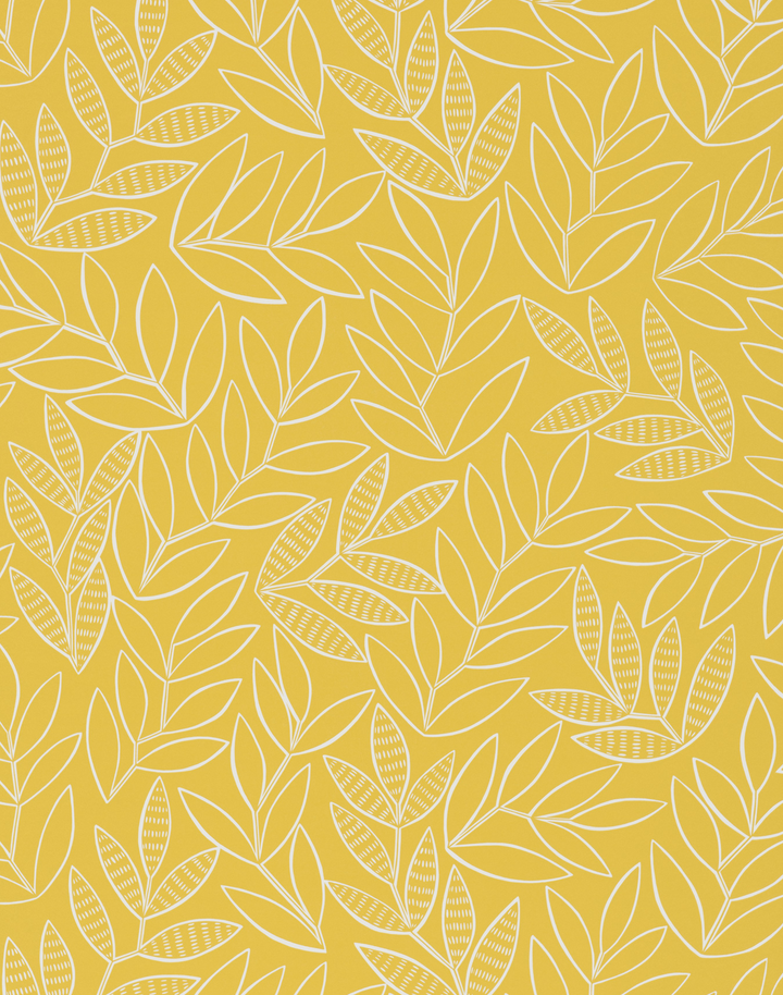 Laurus, Saffron