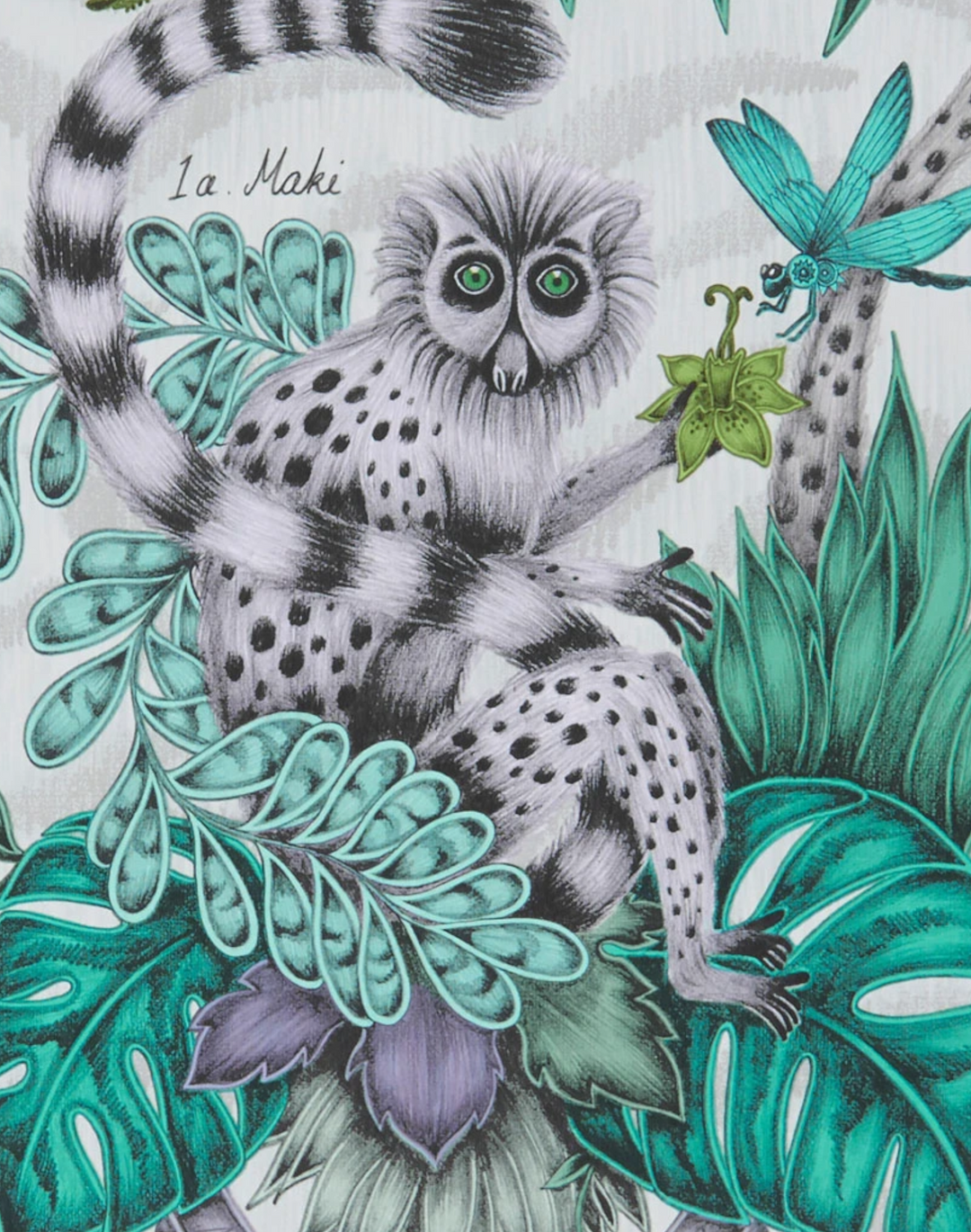 Lemur, Jungle W0103-01
