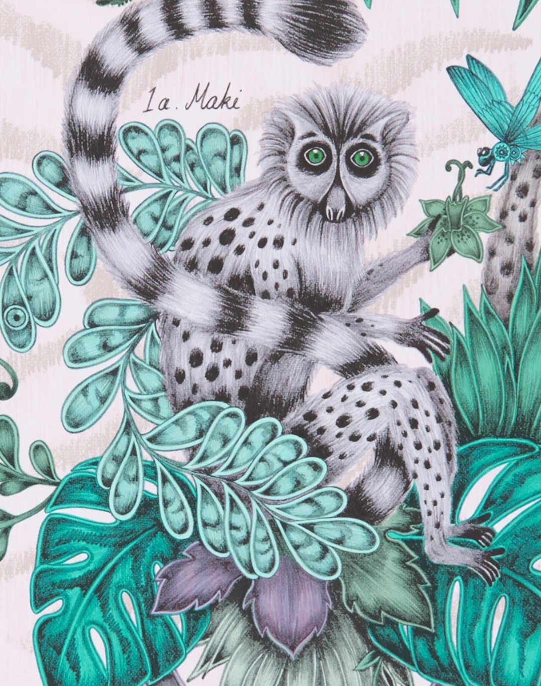 Lemur, Pink W0103-04