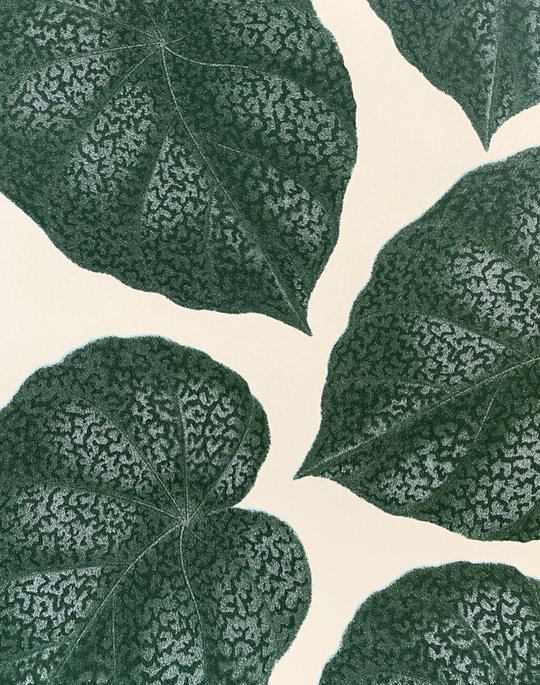 Life The Pattern Collective