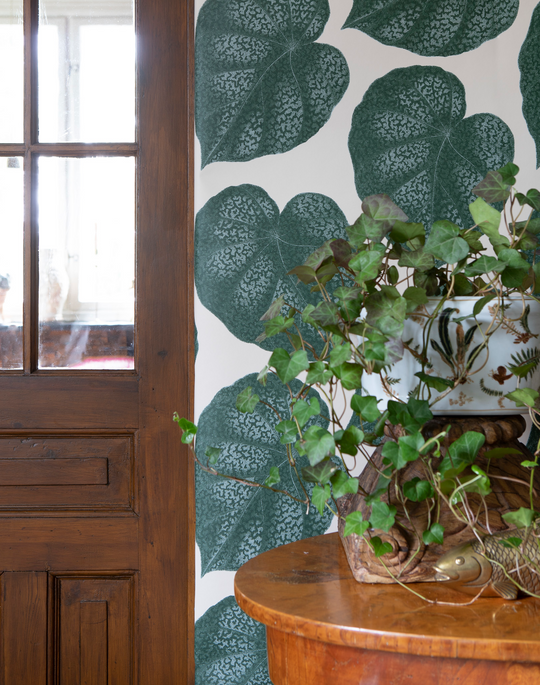 Life The Pattern Collective