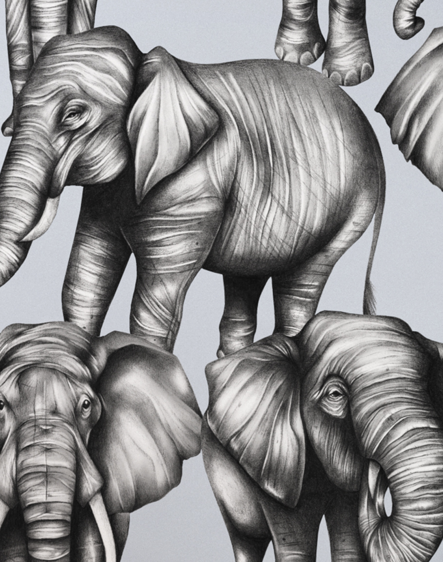 Magnificent Herd – The Pattern Collective
