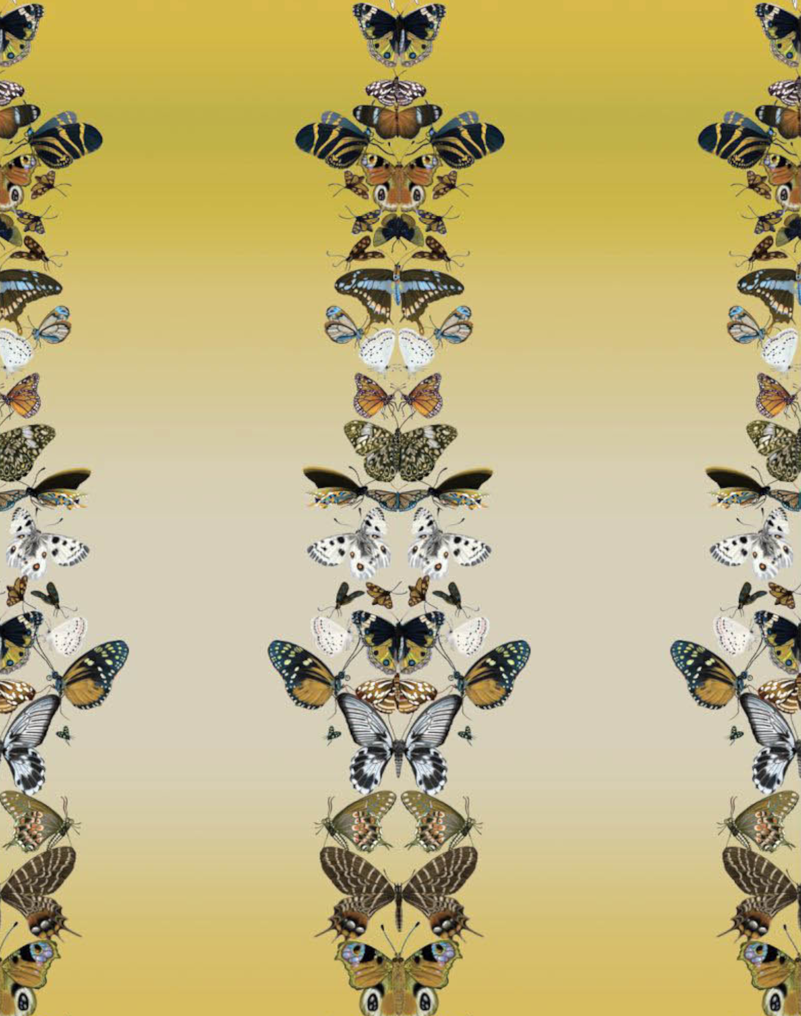 Metamorphosis W-MET-IYE-EZF – The Pattern Collective
