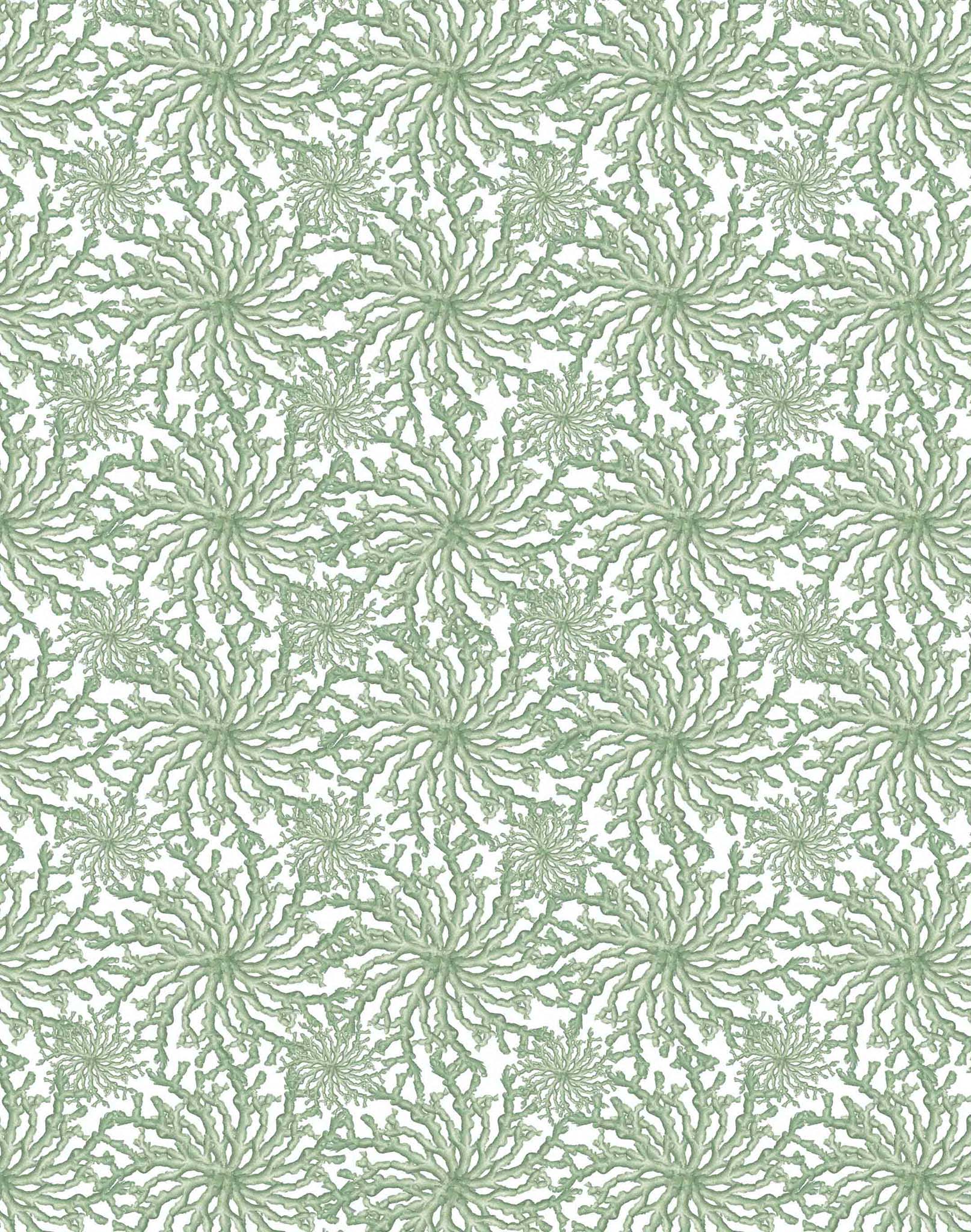 Coral Haze, Sage Green – The Pattern Collective