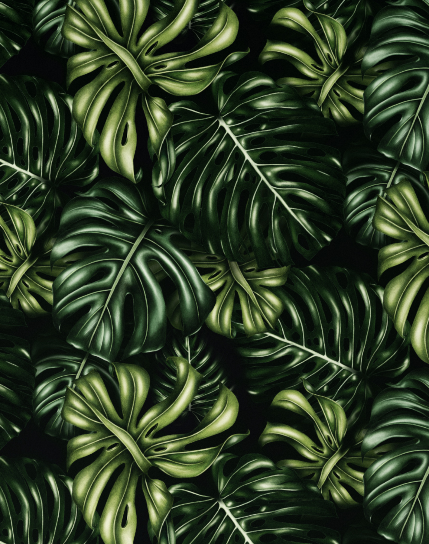 monstera deliciosa pattern Monstera Deliciosa
