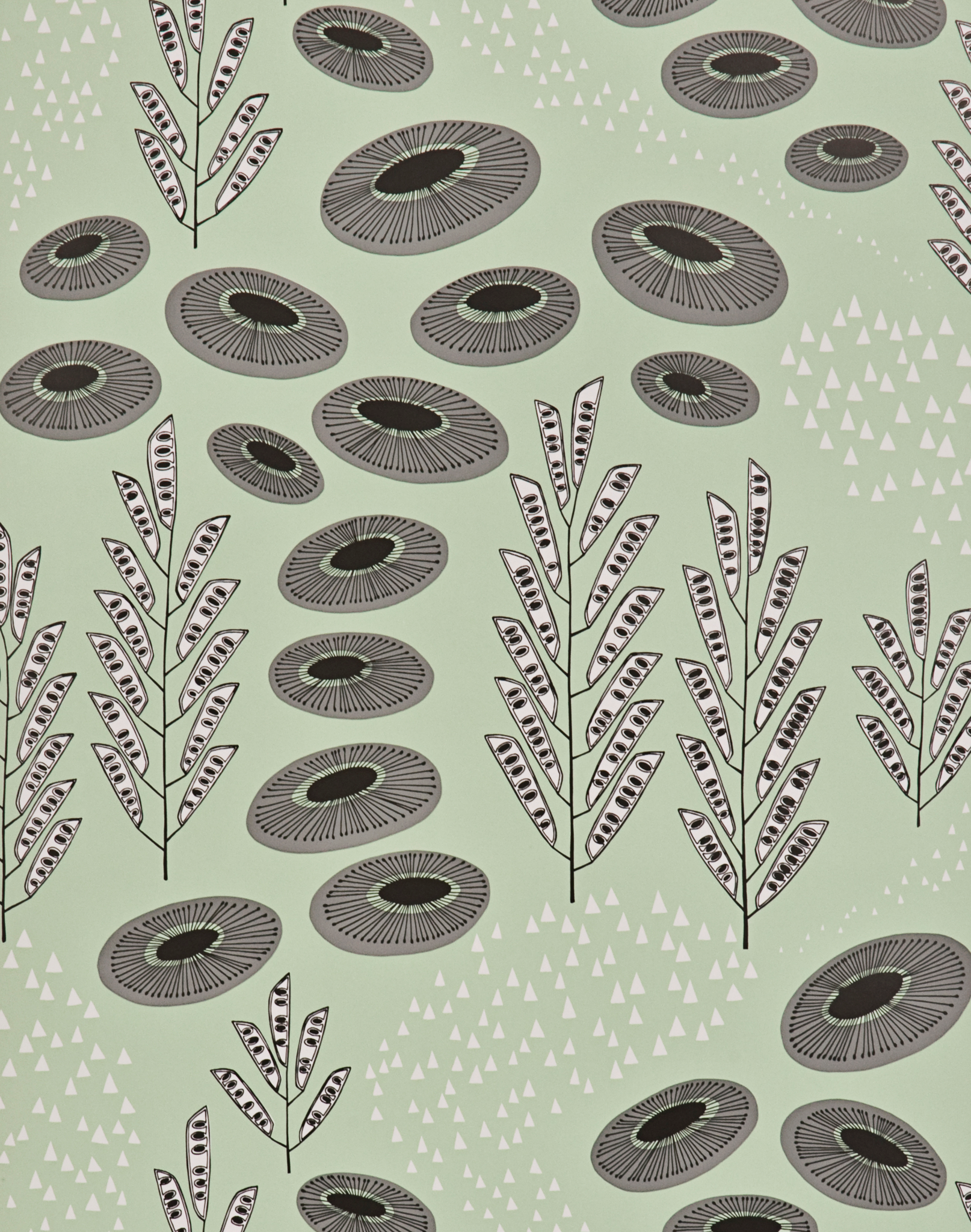 Desert, Lowlands – The Pattern Collective
