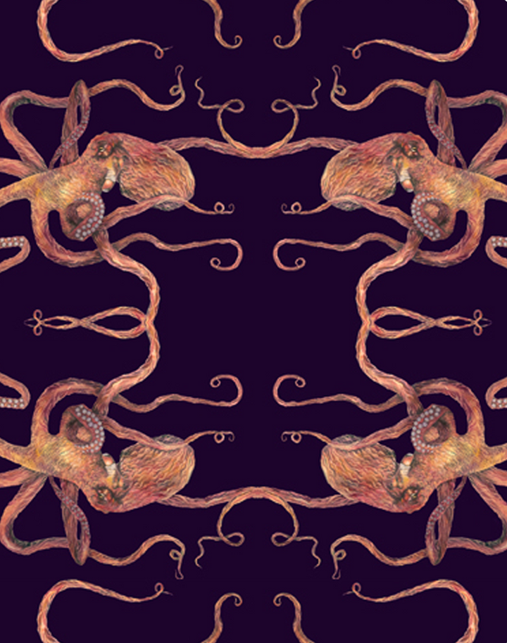 Optical Octopus