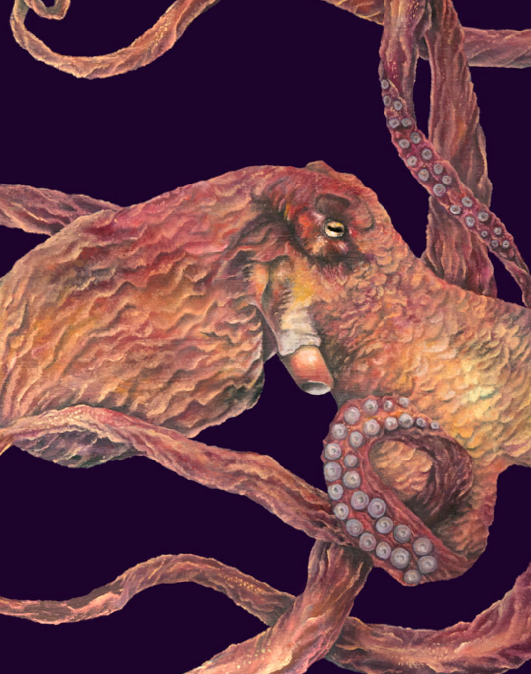 Optical Octopus