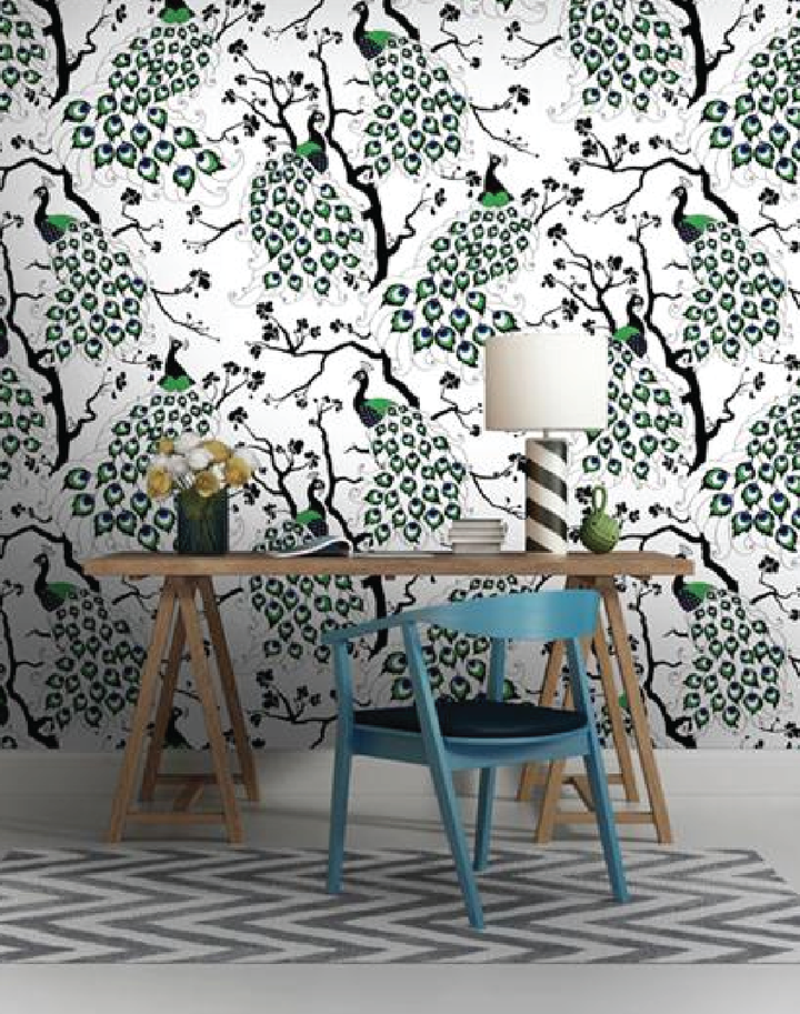 Peacock Wallpaper, Color