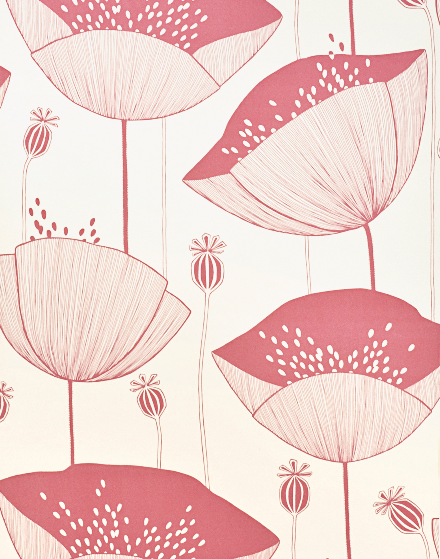 Blush Pink Floral Background Texture Graphic by Peppy Poppy Panda