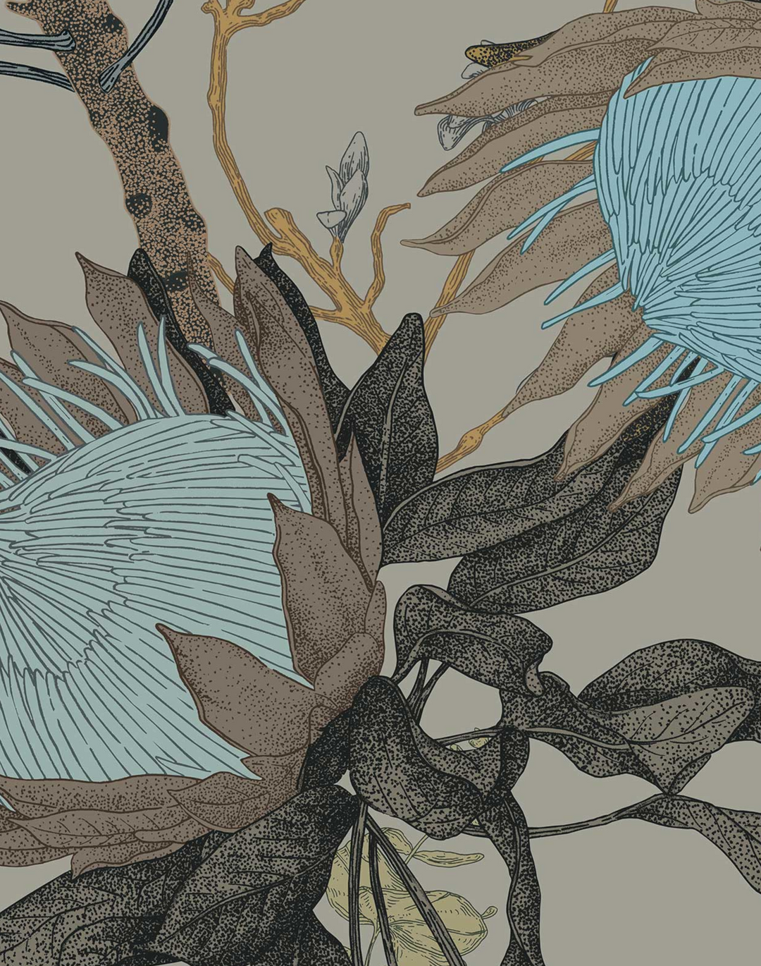 Proteas' Dream, Woodland Grey
