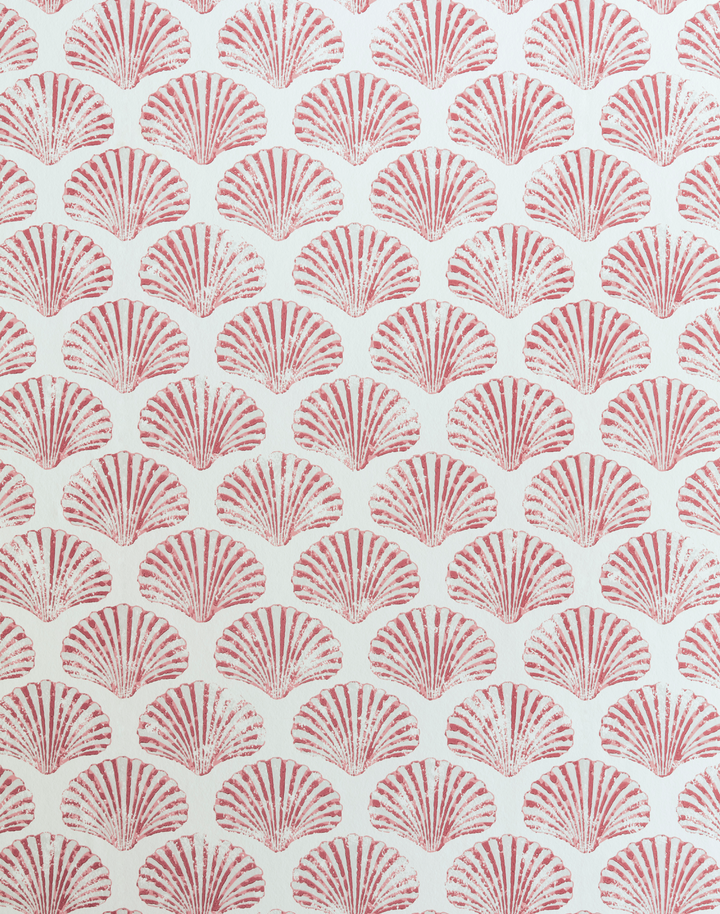 Scallop Shell, Red