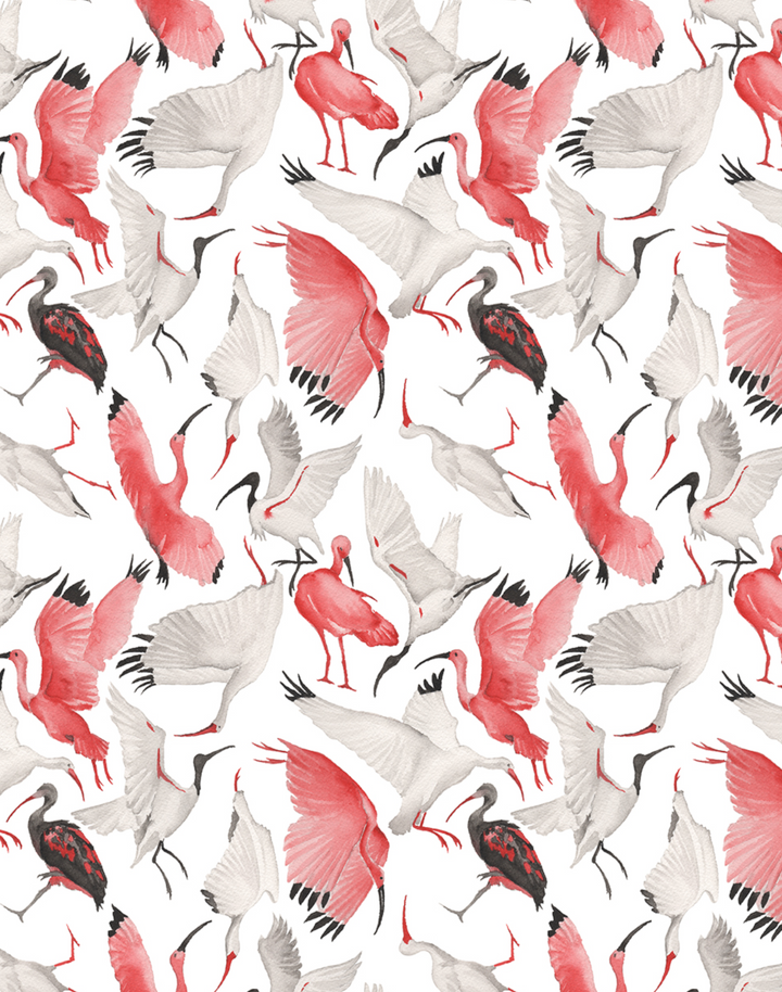 Scarlet and White Ibises, Half Scale