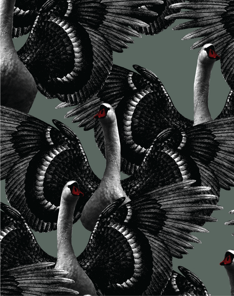 Swan_Lake_Green_Studio_Lisa_Be