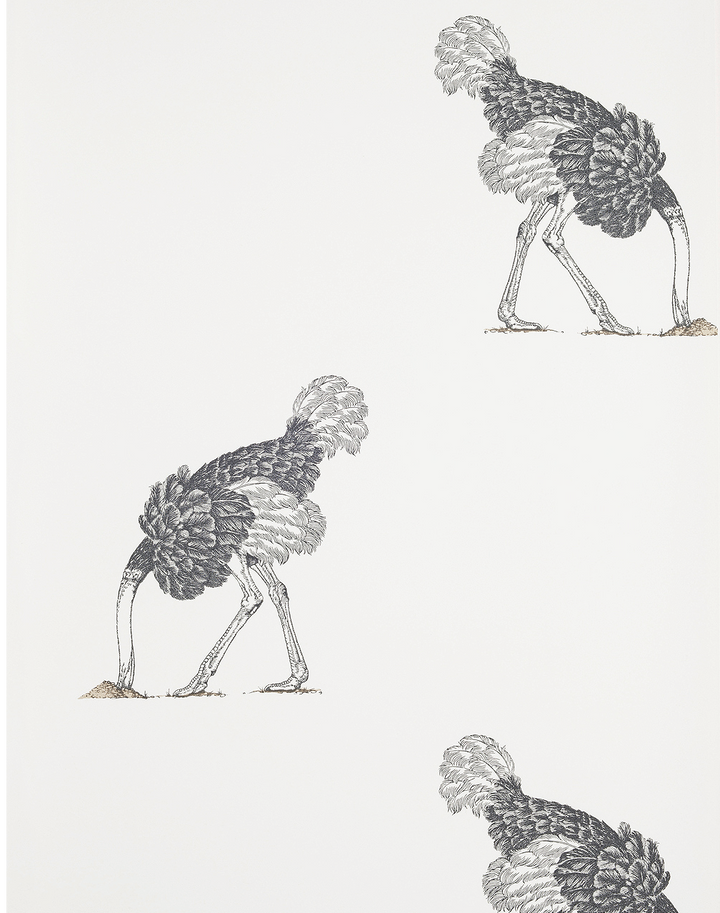 Ostrich Large, Pencil on Bone