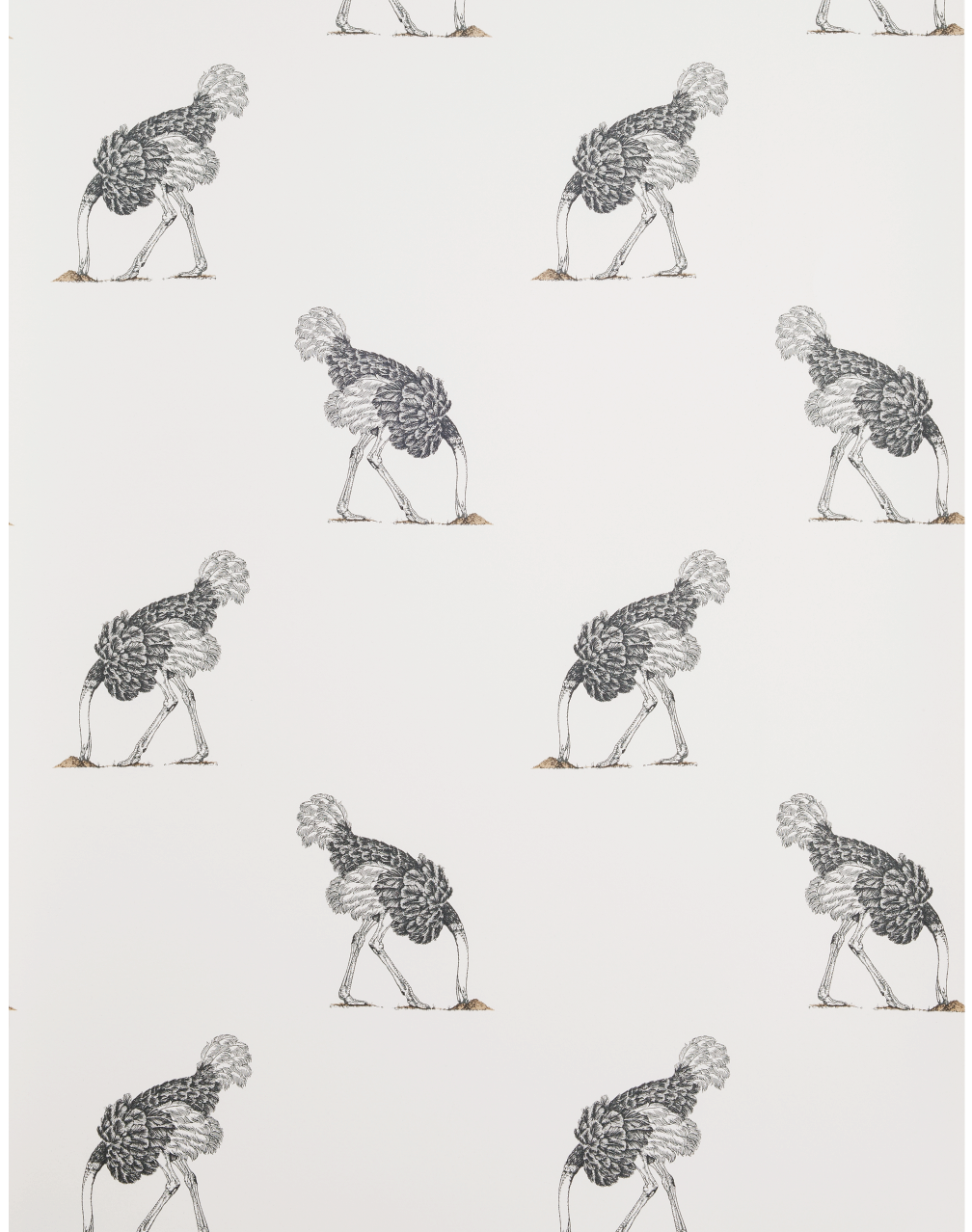 Ostrich Small, Pencil on Bone – The Pattern Collective